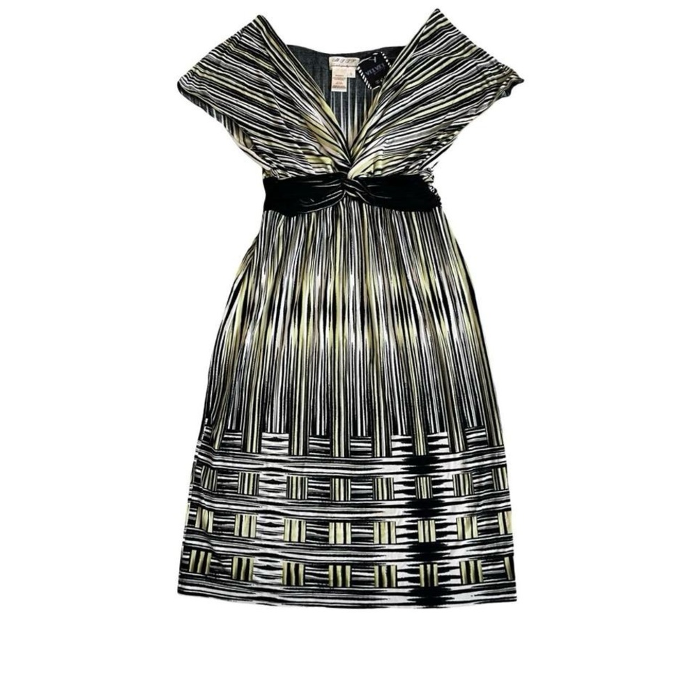 M.S.S.P. dress